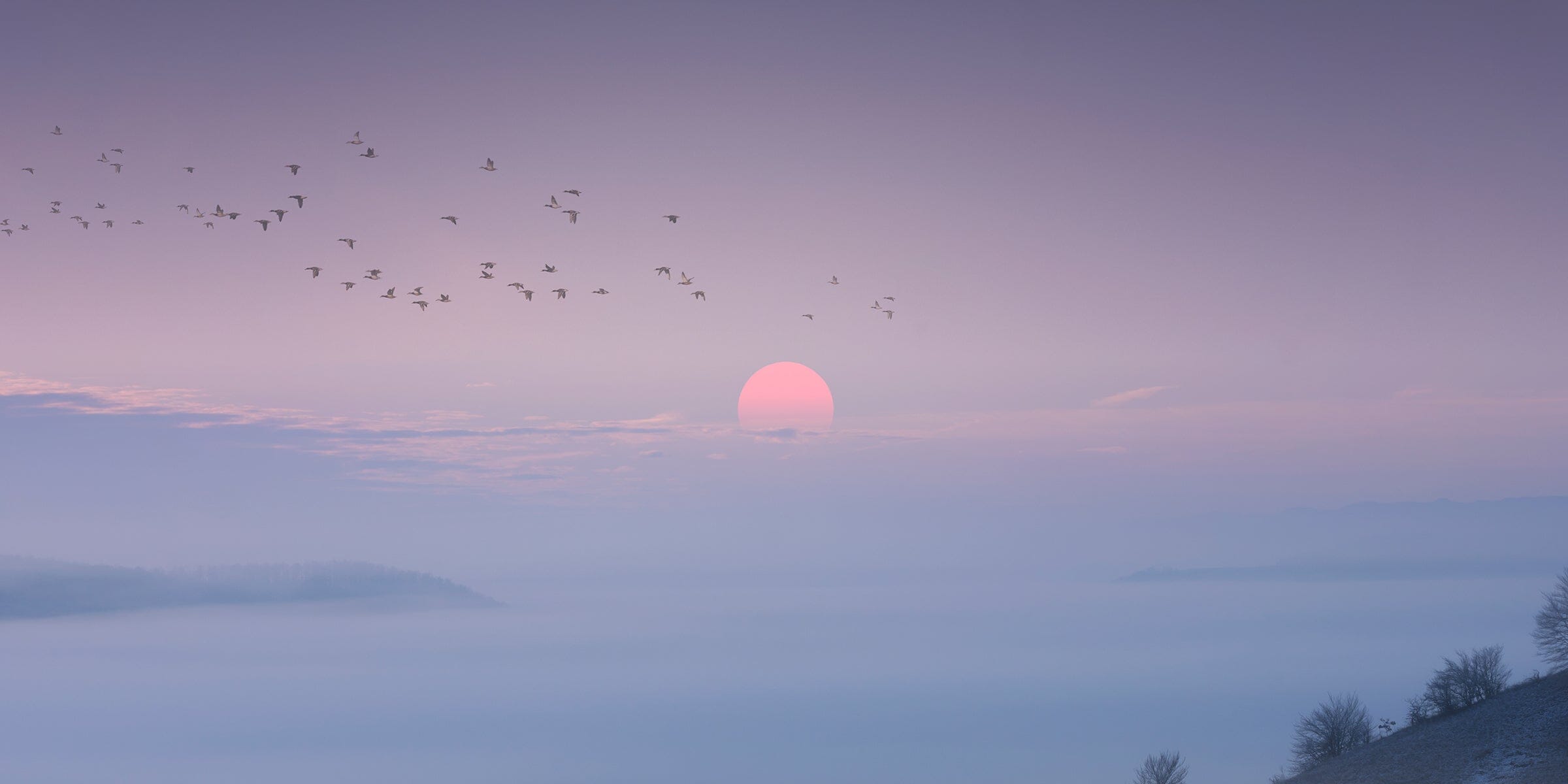 How to Build The Perfect Morning Routine (Backed by Science)