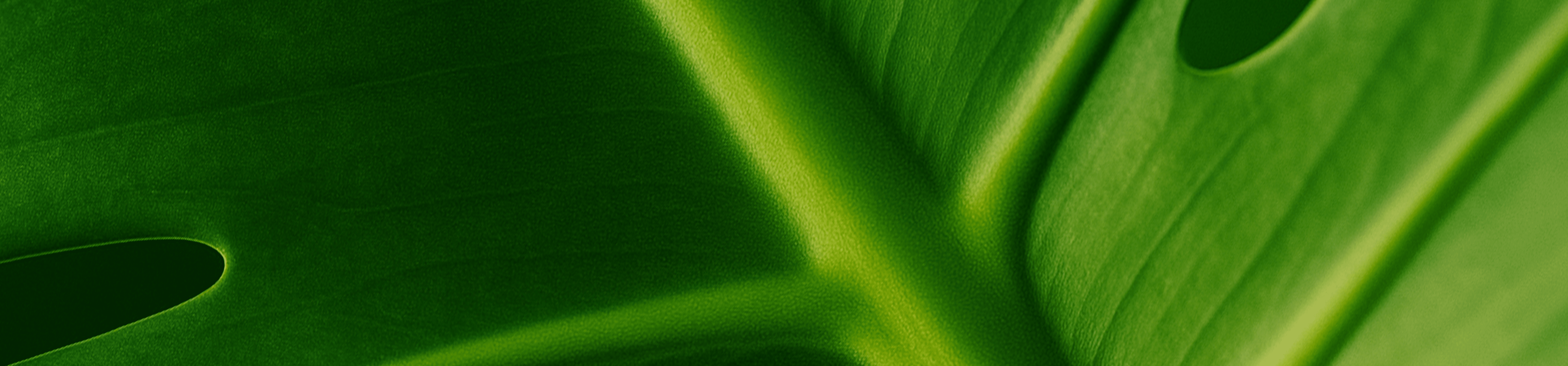 Methylation.