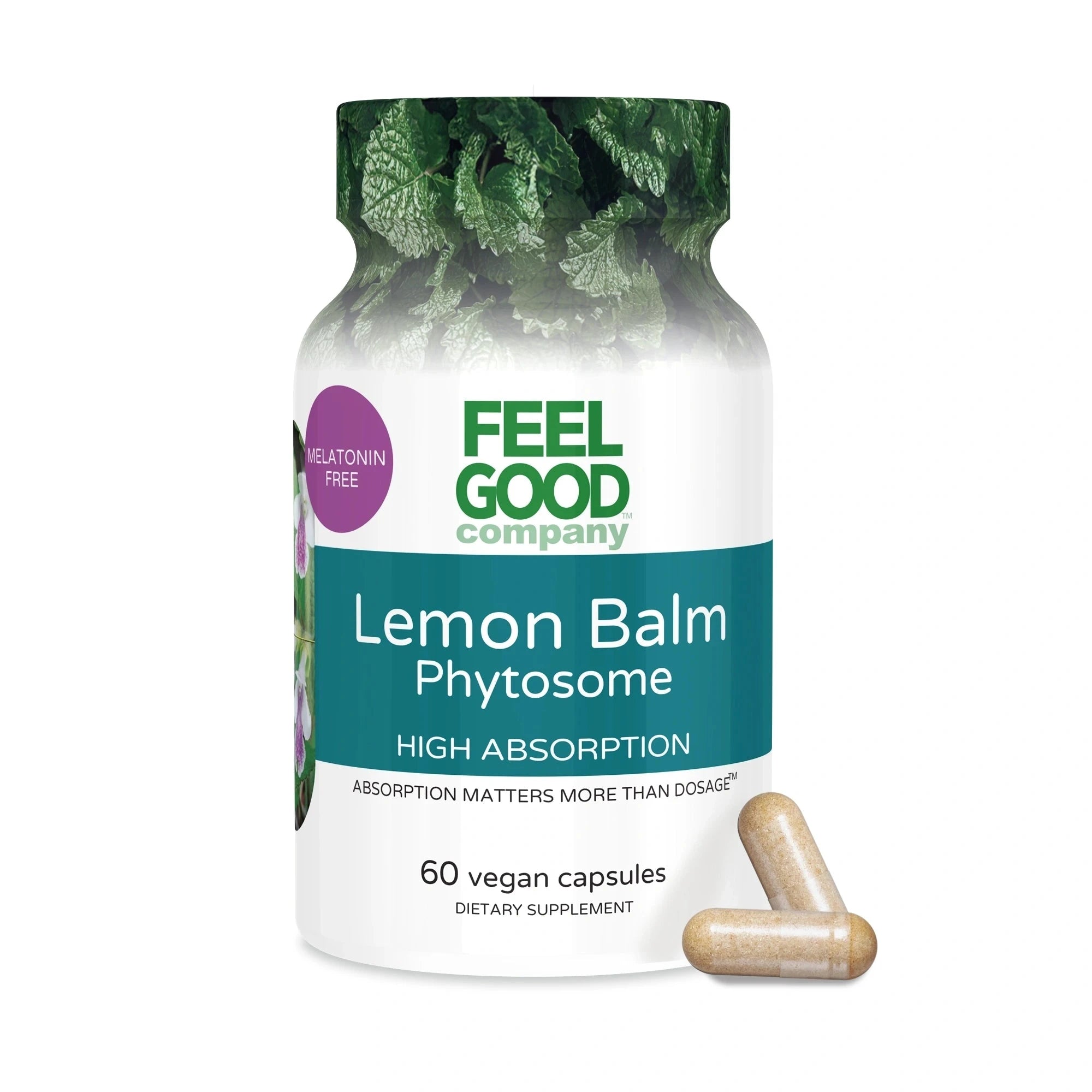 Lemon Balm Phytosome (60 Vegan Capsules) Capsule FEELGOOD Company™