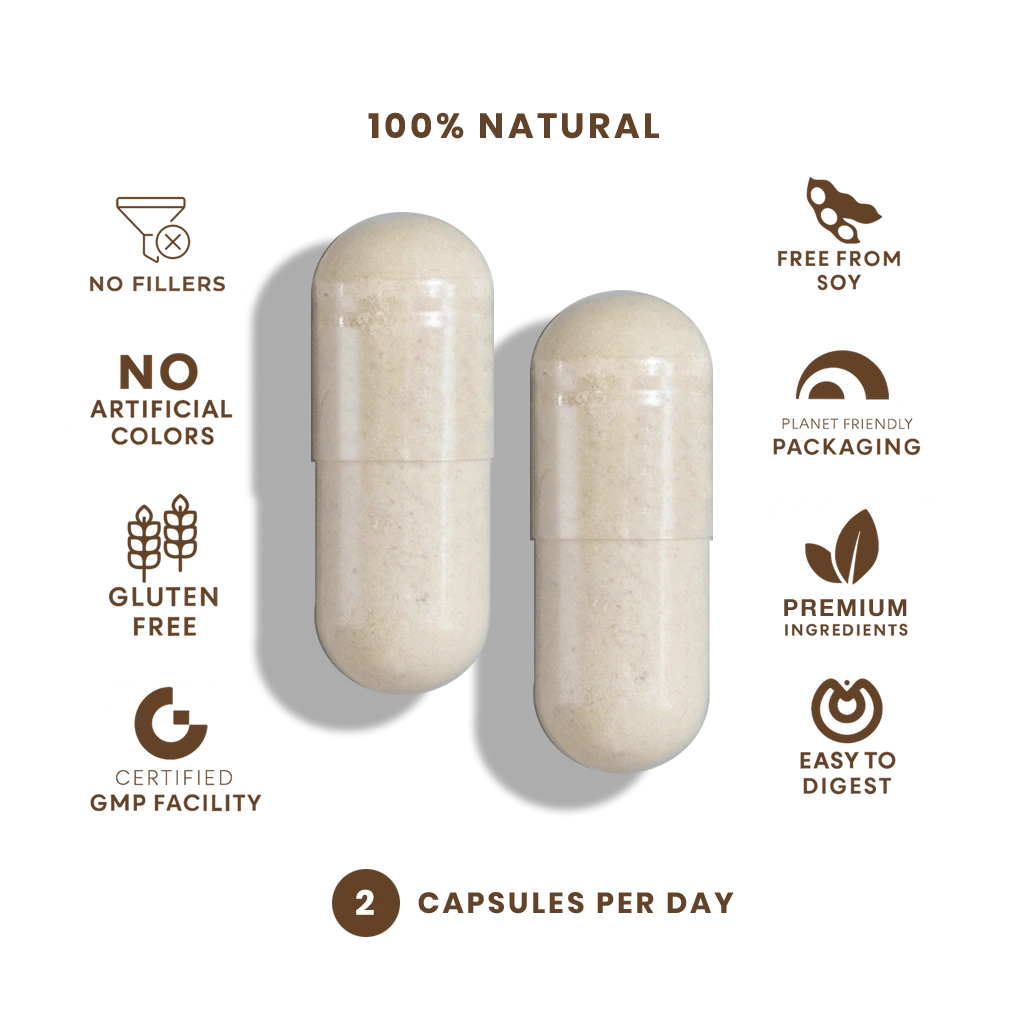Sea Moss Complex – 60 Vegan Capsules Capsule FeelGood Company™