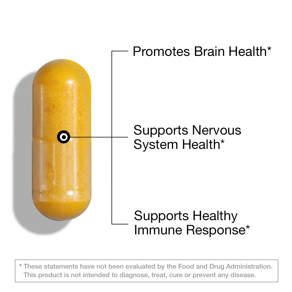 Methylated B-Complex – 60 Vegan Capsules Capsule FeelGood Company™