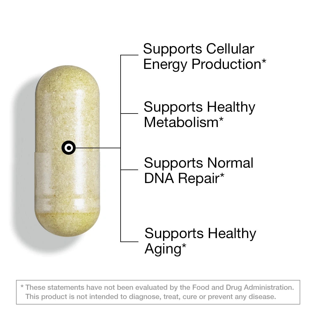 NAD+ NMN Phytosome – 60 Vegan Capsules (Rewrite - Draft) Capsule FEELGOOD Company®
