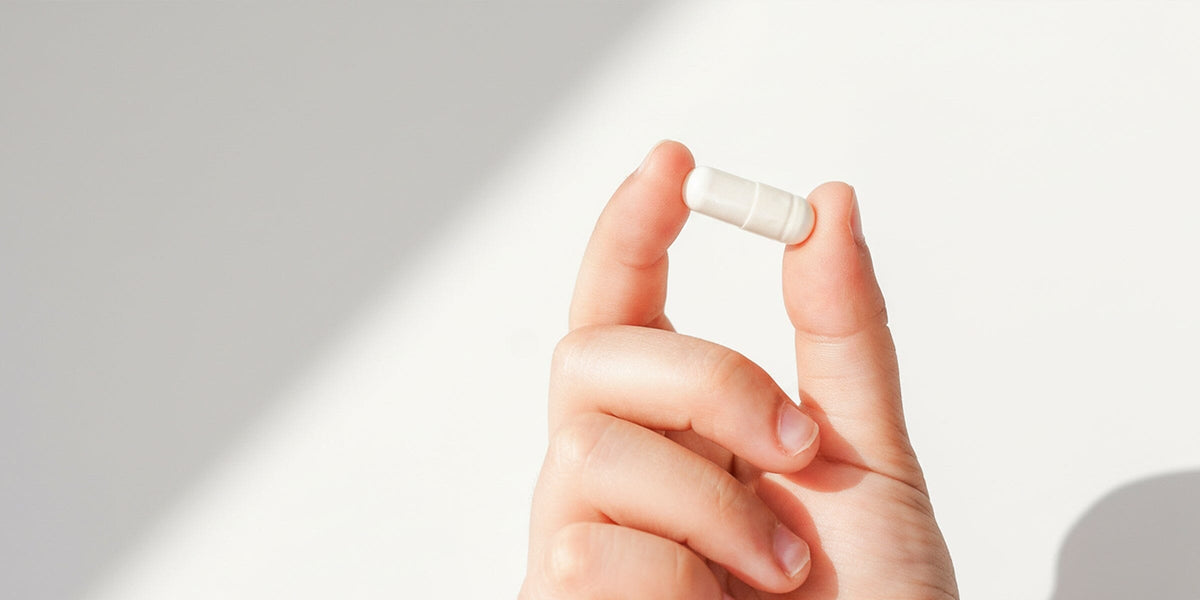 What Affects Supplement Absorption in the Body? The Answer Revealed in