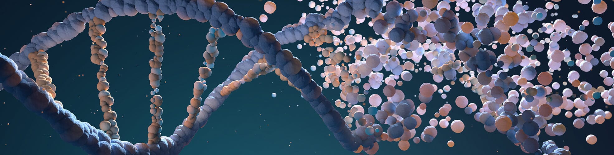 Biohacker Stack