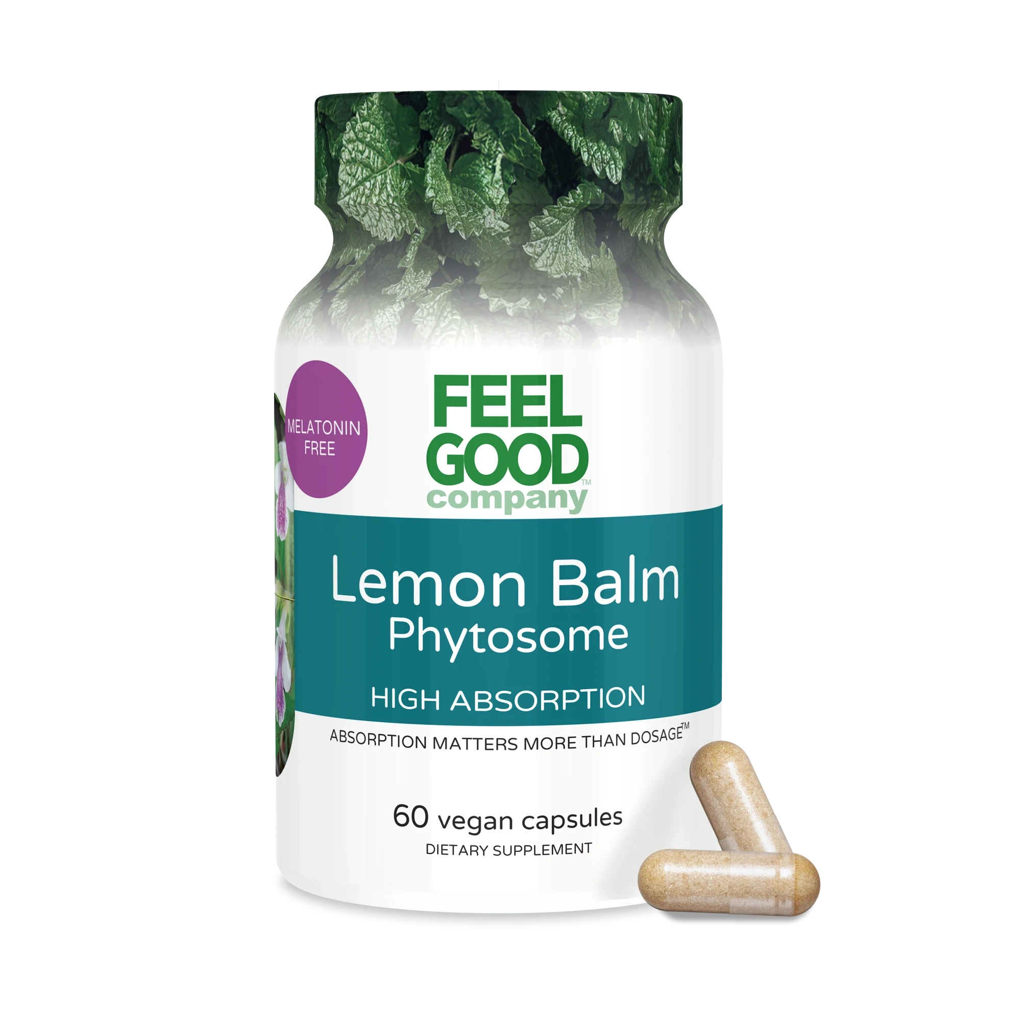 Lemon Balm Phytosome (60 Vegan Capsules) FeelGood Superfoods®