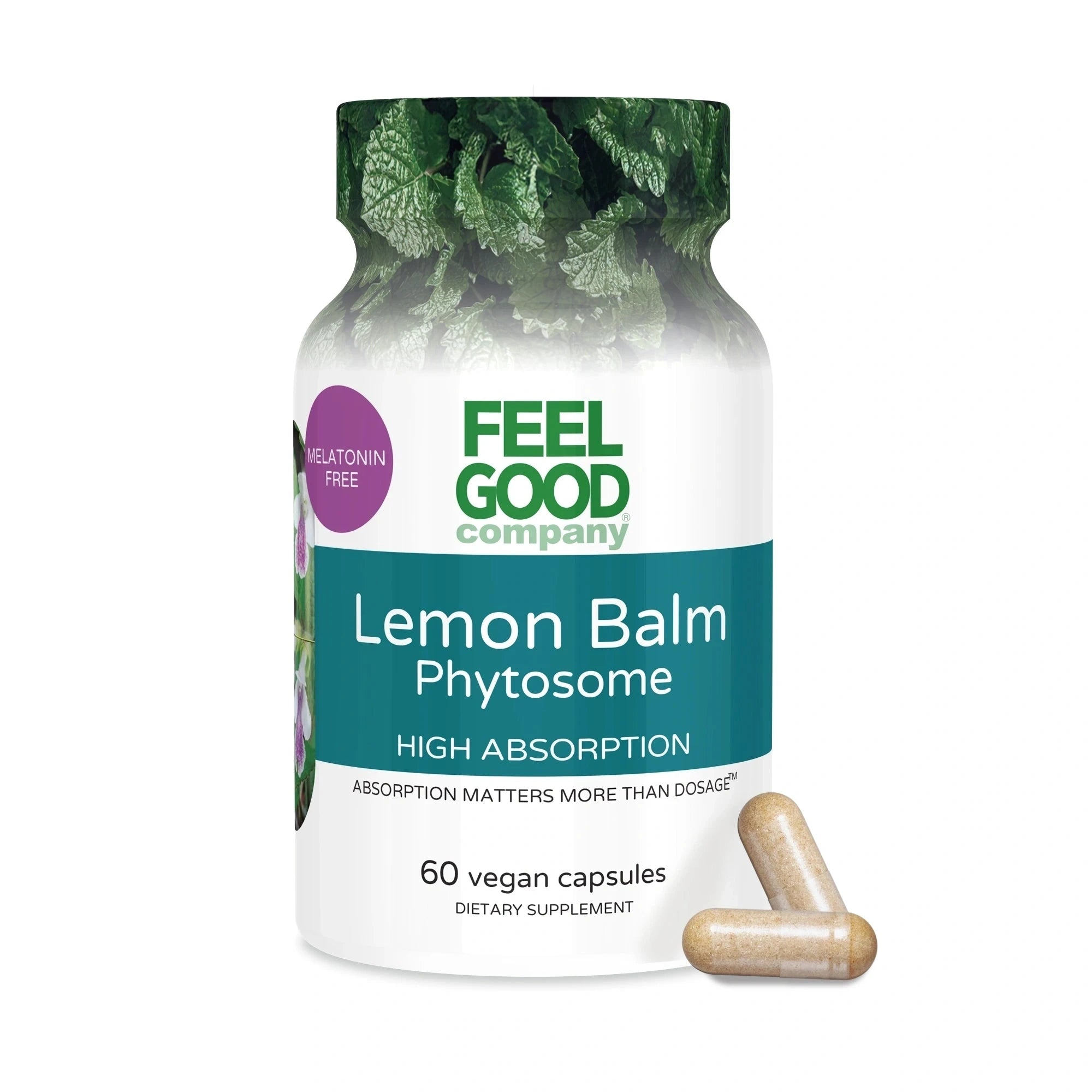 Lemon Balm Phytosome (60 Vegan Capsules) Capsule FEELGOOD Company®