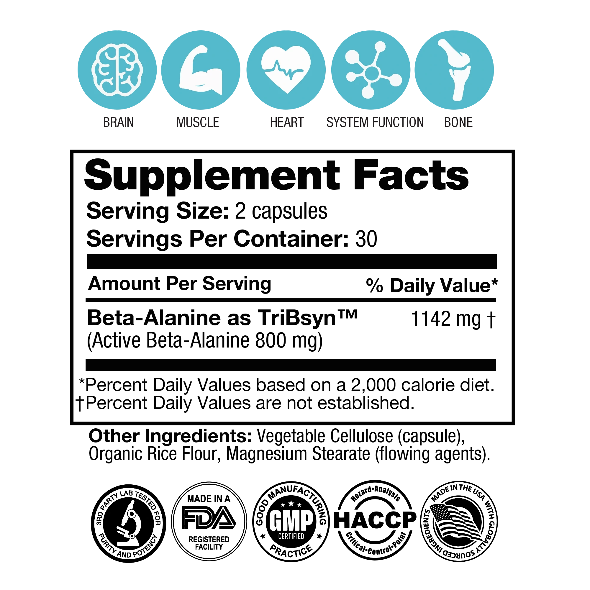 GLP-1 Support Bundle Capsule Fast Bundle