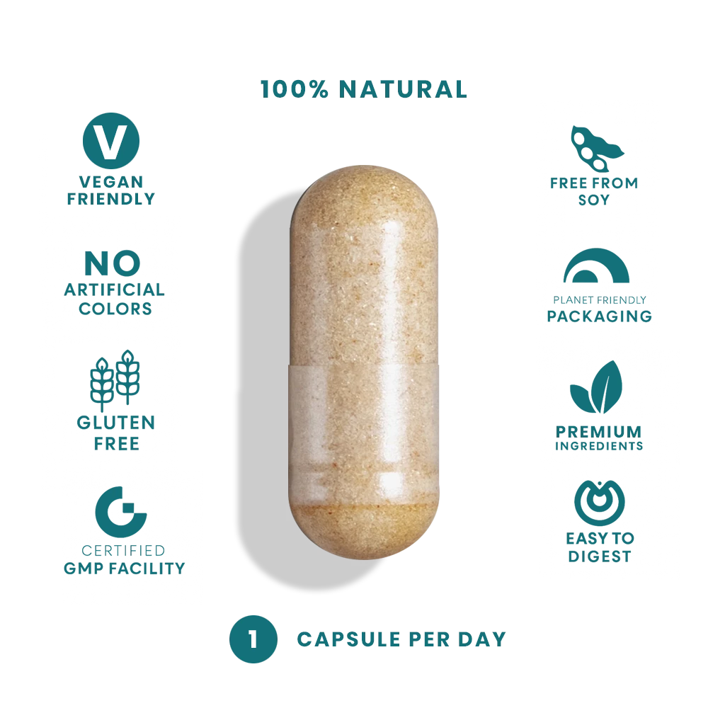 Lemon Balm Phytosome (60 Vegan Capsules) FEELGOOD Company™