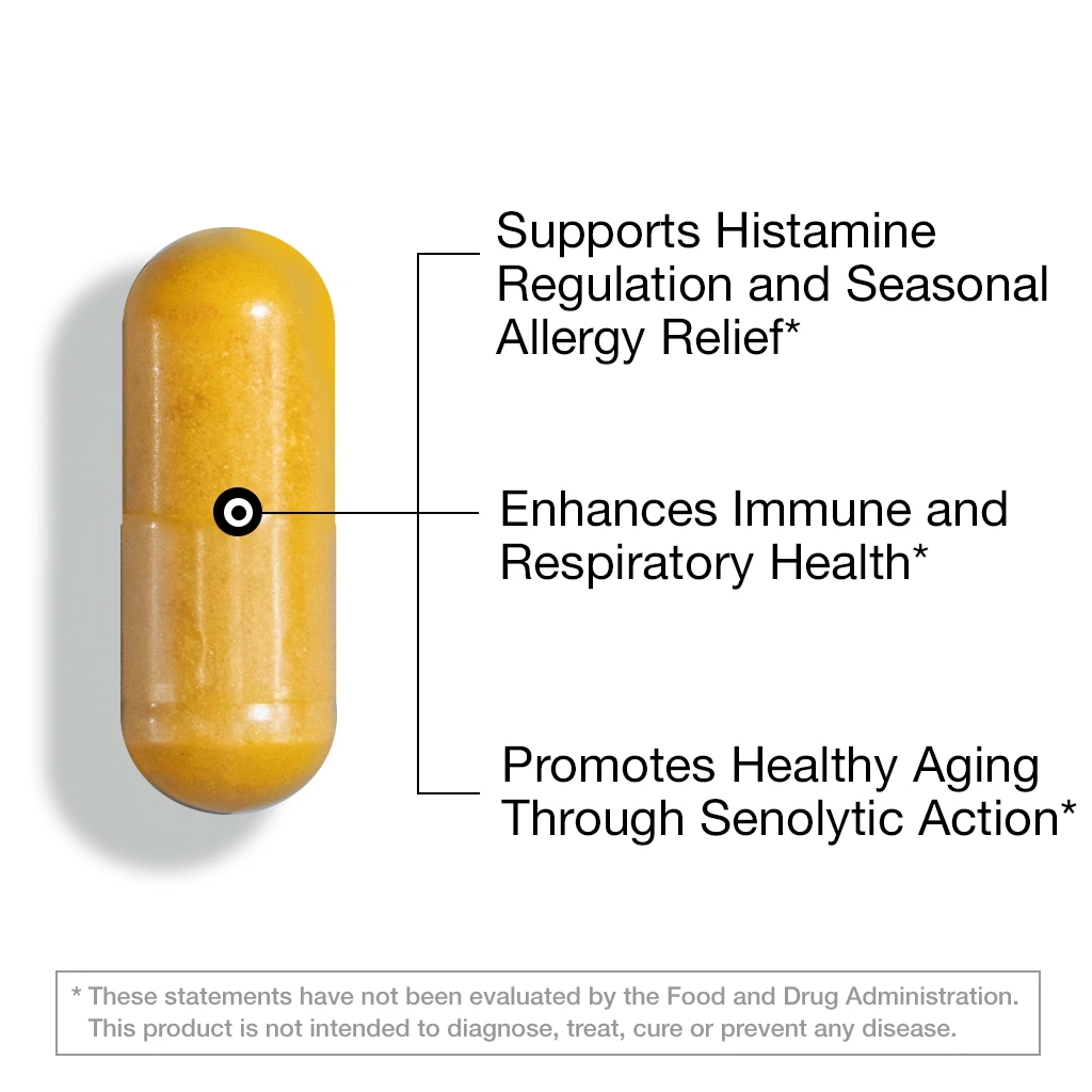 Quercetin Phytosome™ (60 Capsules) Capsule FeelGood Superfoods®