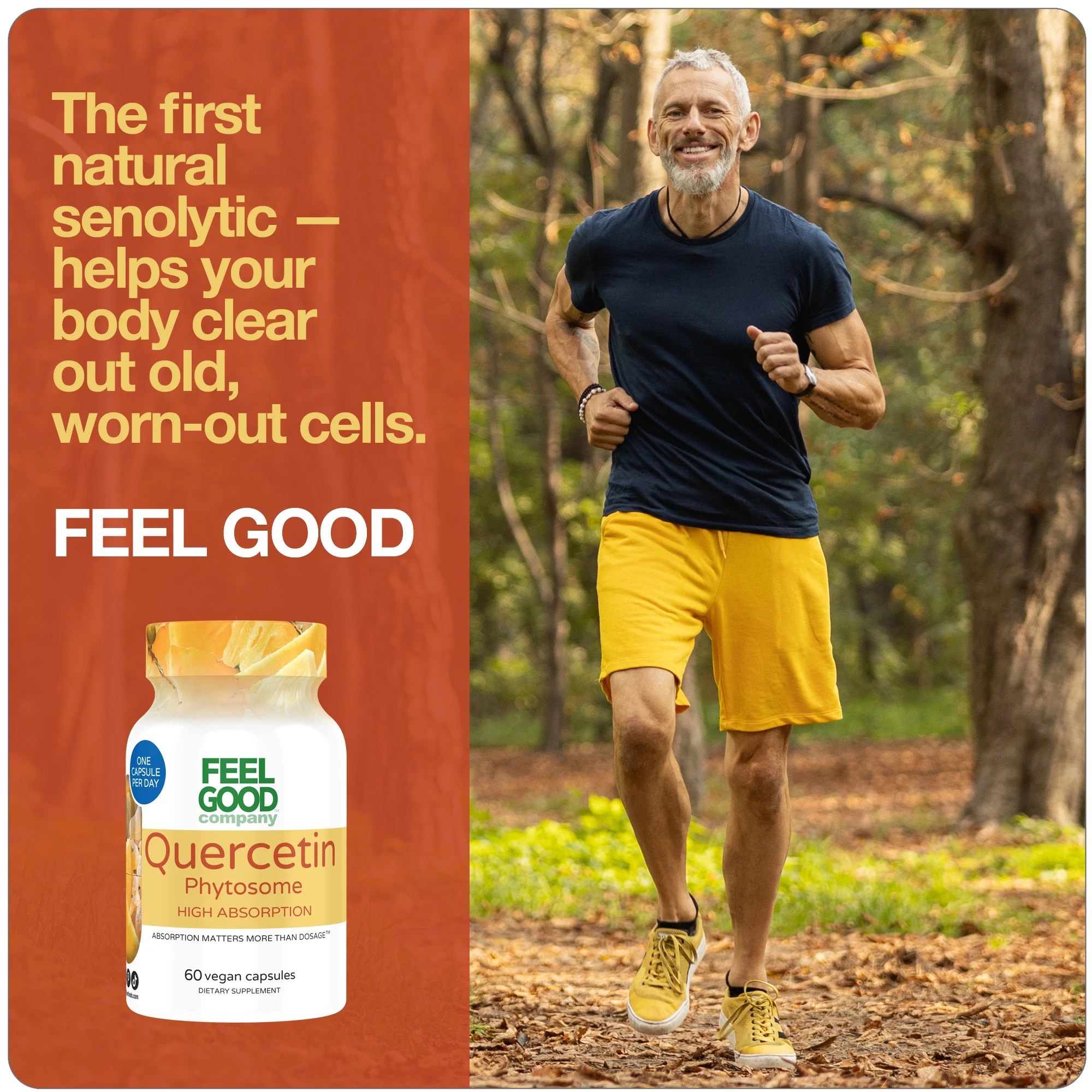 Quercetin Phytosome™ (60 Capsules) Capsule FeelGood Superfoods®